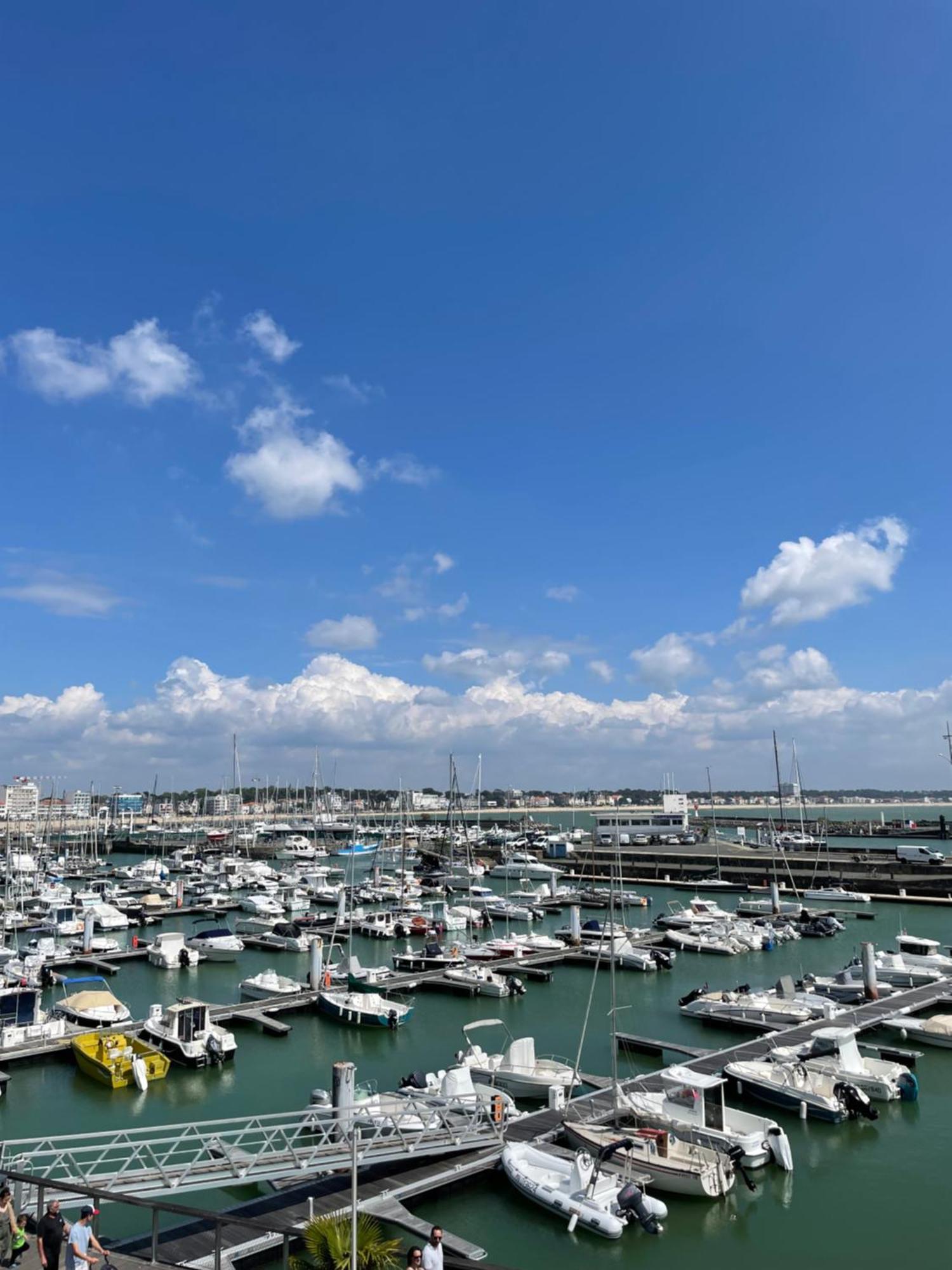 Chant Des Oiseaux *** Royan